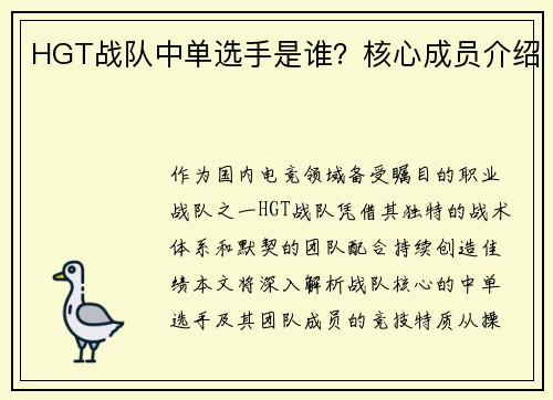 HGT战队中单选手是谁？核心成员介绍