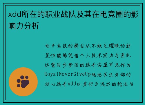 xdd所在的职业战队及其在电竞圈的影响力分析